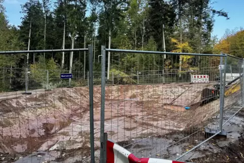 Unterhalb des Neubaugebietes gibt es am Waldrand ein großes Regenrückhaltebecken. Der Ortsbürgermeister scherzte, es sei so tief