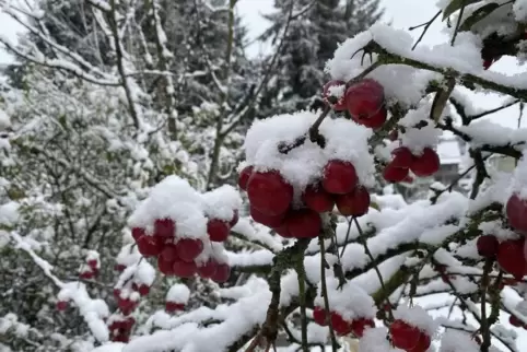 Im Kreis Kusel fielen einige Zentimeter Schnee. 
