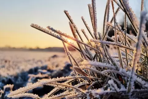 In höheren Lagen kann es in den kommenden Tagen Dauerfrost geben. Tagsüber sorgt die Sonne zumindest phasenweise für schönes Win