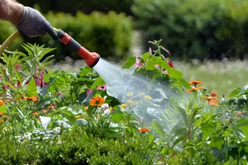 Wasser marsch: Gärten werden nicht selten aus privaten Brunnen bewässert. Da ist es nicht unwichtig zu wissen, wie gut die Quali