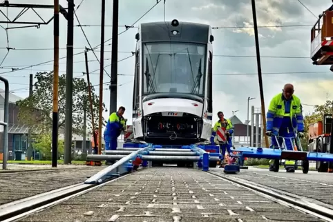 Aufs Gleis bringen: Im Herbst 2022 setzen Mitarbeiter einen neuen RNV-Straßenbahn-Typ in Ludwigshafen aufs Gleis. Auch in Neuhof