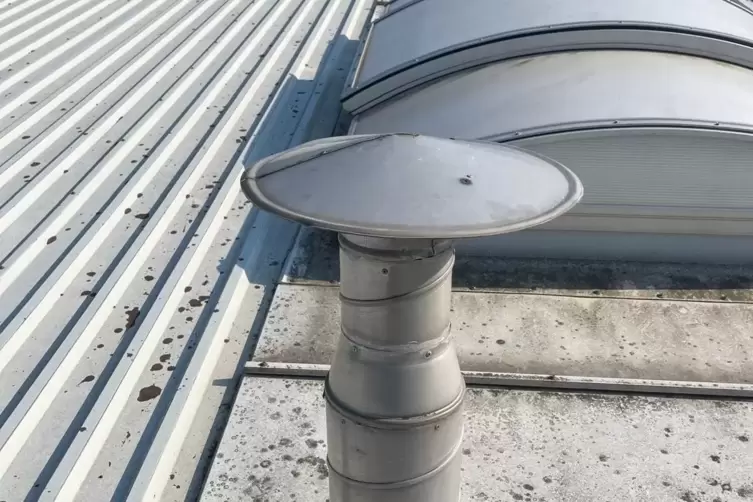 Das flache Dach der LAZ-Halle ist an vielen Stellen undicht, so dass es reinregnet. 