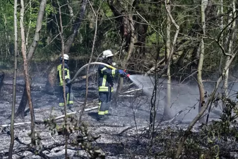 Heißer Einsatz: Feuerwehrleute beim Löschen eines Waldbrandes zwischen Dudenhofen und Speyer im Jahr 2019. 