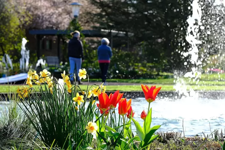 Der Zweibr&uuml;cker Rosengarten, hier zum Saisonstart, ist ein weiterer Lieblingsplatz von Angelika Gl&ouml;ckner.
