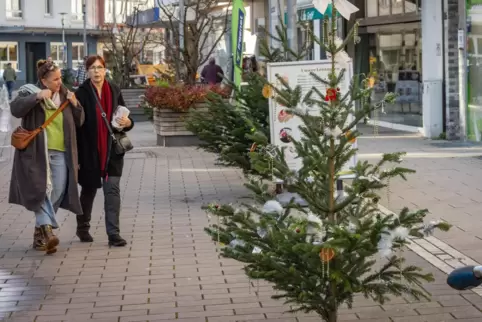 Erste Weihnachtsbäume in der Fußgängerzone sind bereits geschmückt. Erste Weihnachtsbäume in der Fußgängerzone sind bereits geschmückt.
