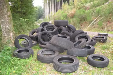 Nicht nur Altreifen werden illegal im Wald abgekippt. Es gibt sogar noch schlimmere Hinterlassenschaften.