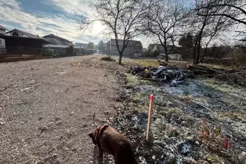 Ein Blick auf das Baugebiet vom Wendehammer aus gesehen. Die fünf Bauplätze entstehen auf der Wiese in der rechten Bildhälfte. I