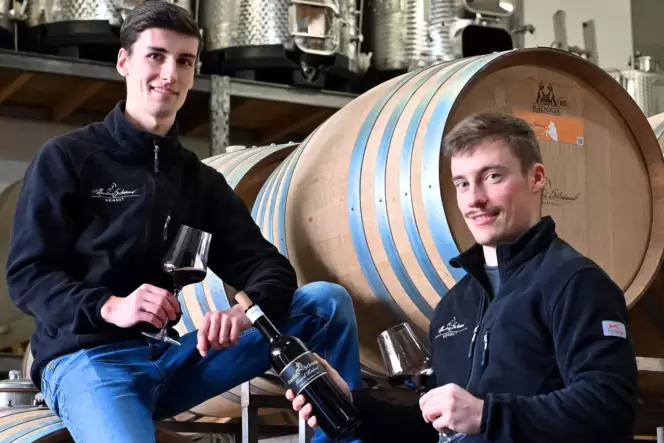 Führen das Weingut mit ihrem Vater Markus Schwaab (von links): Moritz und Bastian Schwaab.