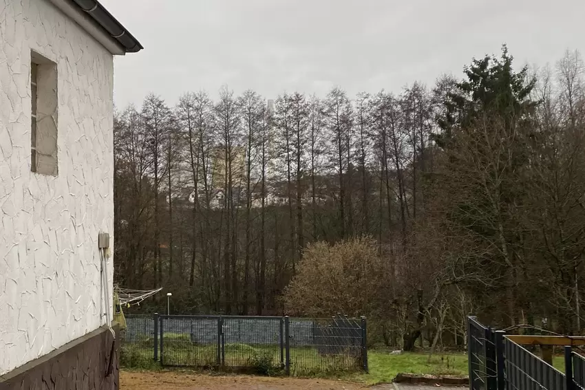 Vom Hof des Hauses aus ist durch die Bäume das Kohlekraftwerk, das Wahrzeichen von Bexbach, zu erkennen.