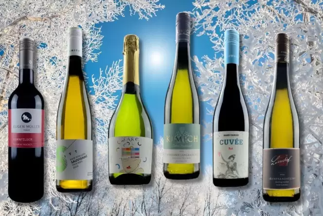 Zum Entdecken: das LEO-Weinpaket »Winter 2025«. Zum Entdecken: das LEO-Weinpaket »Winter 2025«.