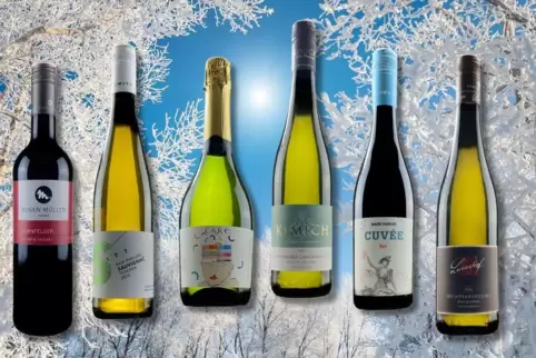 Zum Entdecken: das LEO-Weinpaket „Winter 2025“.