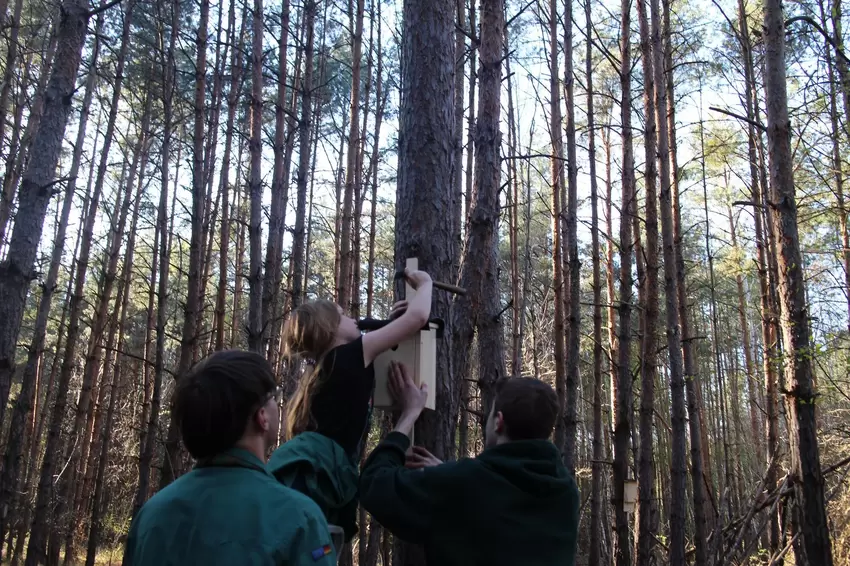 Gemeinsam haben die Vereinsmitglieder Nistkästen gebaut und im Wald aufgehängt.