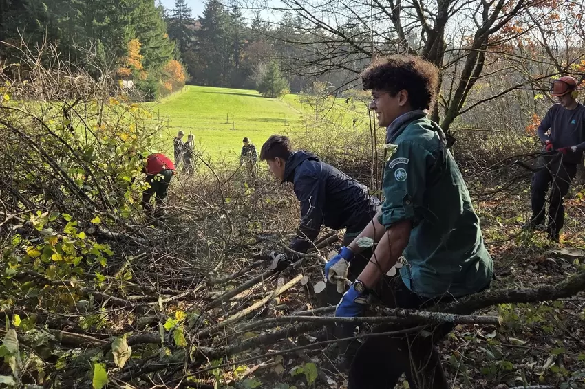 Einmal die Woche treffen sich die Gruppen der Waldjugend, um gemeinsam anzupacken, zu spielen oder den Wald zu erkunden.