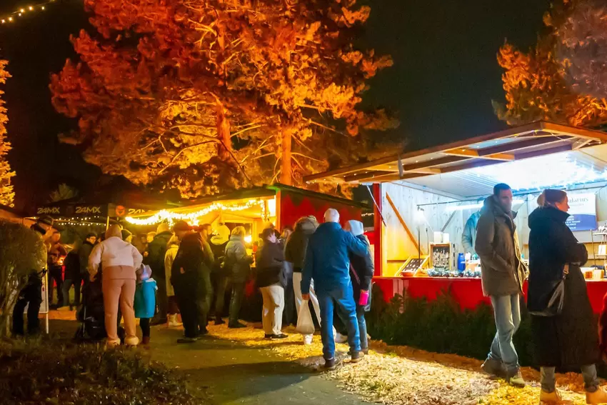 Schön beleuchtet: Bäume und Stände auf dem Eisenberger Weihnachtsmarkt 2025.