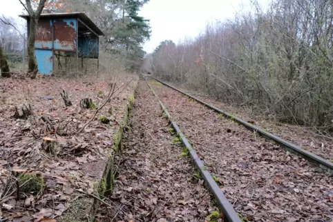 In Höhe des Umspannwerks Homburg wurden hier jetzt die Gleise am noch verwaisten Bahnhalt Beeden freigeschnitten. In Höhe des Umspannwerks Homburg wurden hier jetzt die Gleise am noch verwaisten Bahnhalt Beeden freigeschnitten.