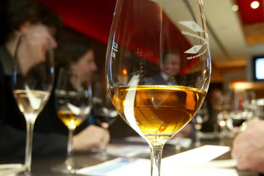 Die Vinothek wurde nach der Renovierung im Jahre 2000 eröffnet.