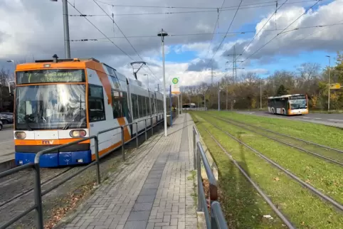 Mehr Straßenbahnen sollen zur Endhaltestelle in Oppau fahren. 