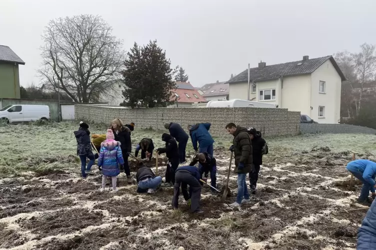 Auf den einzelnen Quadratmetern wurden gleich mehrere Setzlinge in die Erde gebracht, am Ende werden 500 B&auml;ume gepflanzt. 
