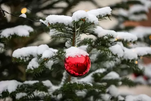 Wird es an Weihnachten mal wieder Flocken geben?