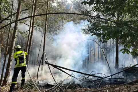 Die Waldbrandprävention ist eine wichtige Aufgabe des Brand- und Katastrophenschutzes beim Kreis. 