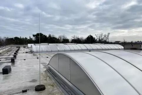 Über den Dächern von Maxdorf: Das Dach der Waldsporthalle sieht auf den ersten Blick eigentlich ganz gut aus. 