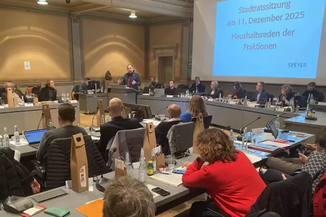 Neun Haushaltsreden in gut drei Stunden: Zum Abschluss stand Aurel Popescu (Linke) am Pult. Neun Haushaltsreden in gut drei Stunden: Zum Abschluss stand Aurel Popescu (Linke) am Pult.