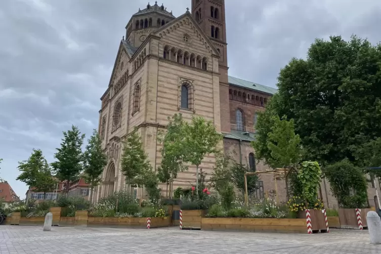 Fr&uuml;here Klimaoase am Dom: Wunsch nach mehr Schatten- und Frischluftinseln. 