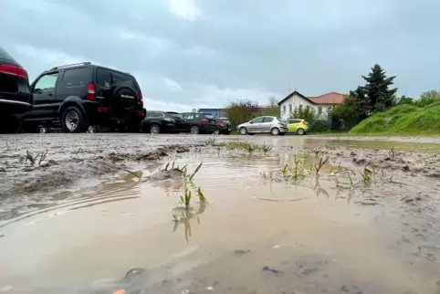 Geplantes Projekt am Wachenheimer Oberstnest: Hier sollen 72 befestigte Parkplätze entstehen. 
