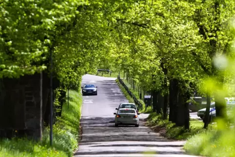 Schon im Jahr 2013 schrieb unser Fotograf unter dieses Foto: „Sanierungsbedürftig: die Fasaneriestraße“.