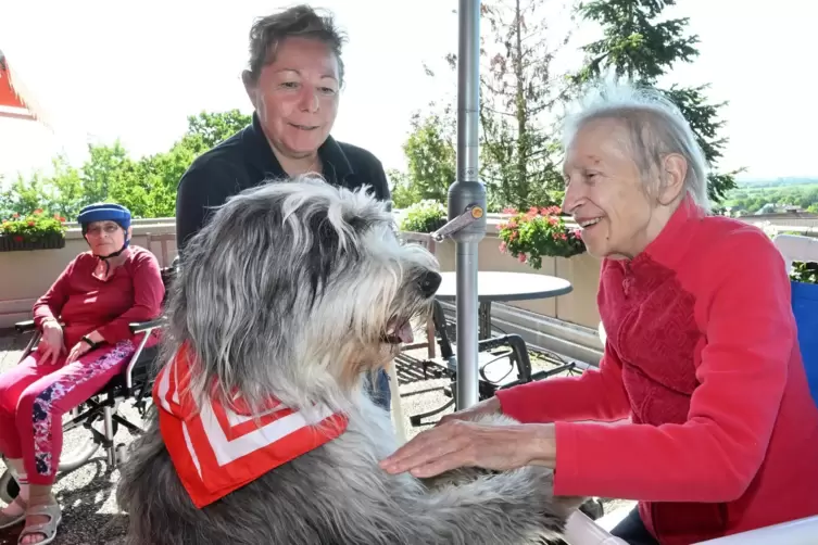  Anette Langhauser und ihr Hund Estella erfreuen die Bewohner des Alten- und Pflegeheims Paul-Gerhardt-Haus in Neustadt. 