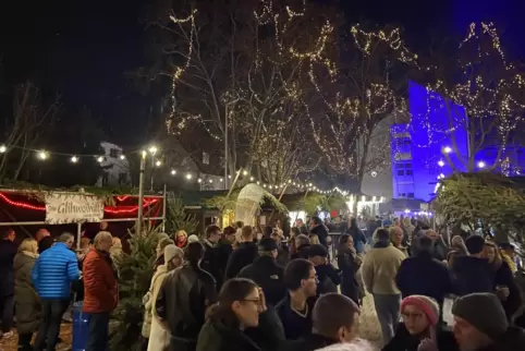 Besondere Höhepunkt für viele Besucher ist die Waldweihnacht. 