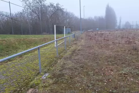 Der MTV-Hartplatz auf der Husterhöhe wird schon lange nicht mehr genutzt und ist verwildert. Die Stadt Pirmasens will ihn pachte
