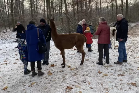 Ob’s dieses Jahr wieder so schön winterlich wird? 