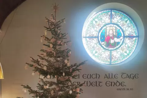 Toll geschmückt – und nicht ganz auf dem Foto: Baum aus der Weihnachtsbaumkultur des Forstamts.