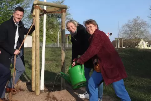 Beim Baumpflanzen mit Baugenossenschaft-Chef Oliver Pastor: Beigeordnete Irmgard Münch-Weinmann (rechts) und Oberbürgermeisterin Beim Baumpflanzen mit Baugenossenschaft-Chef Oliver Pastor: Beigeordnete Irmgard Münch-Weinmann (rechts) und Oberbürgermeisterin
