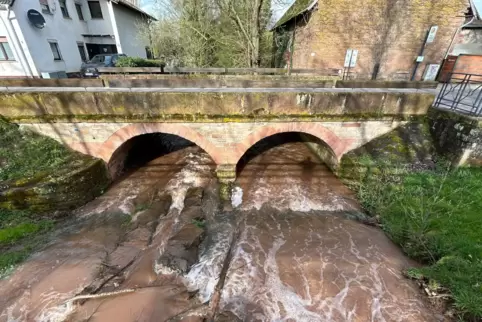 Aus der zweiten Hälfte des 19. Jahrhunderts stammt die zweibogige Brücke im Ortskern von Dreisen.