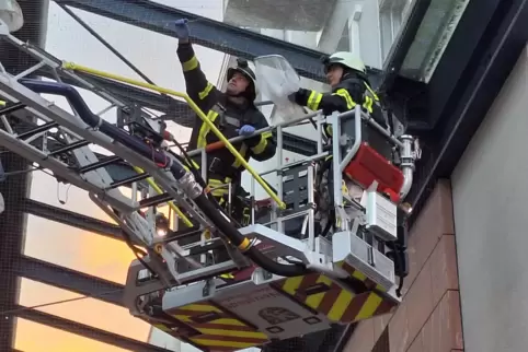 Die Neustadter Feuerwehr schwebt manchmal auch in luftigen Höhen – statt beeindruckender Zirkusnummern zeigen sie aber ihre Fähi