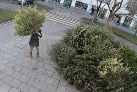 Die freiwilligen Helfer bitten darum, dass der Weihnachtsbaum am Straßenrand platziert und vollständig abgeschmückt ist. 