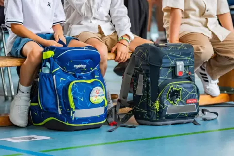 Derzeit unterrichten die Grundschulen in der Verbandsgemeinde Leiningerland 1170 Kinder, im Schuljahr 2029/2030 werden es voraus