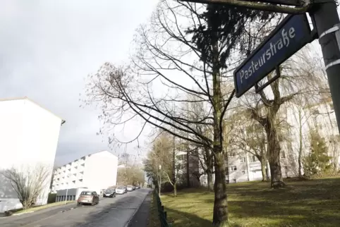 Die Pasteurstraße verbindet die Röntgenstraße mit der Steinhauser Straße. 