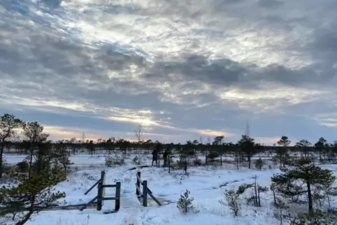 Das Wetter bleibt in der ersten Wochenhälfte noch freundlich bei einer Mischung aus Wolken und Sonne.