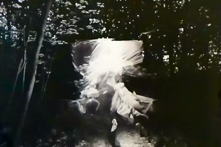 N&auml;chtlicher Tanz, bewusst mit Unsch&auml;rfe arbeitend: Jana Schielers &bdquo;Forest 01&ldquo;.