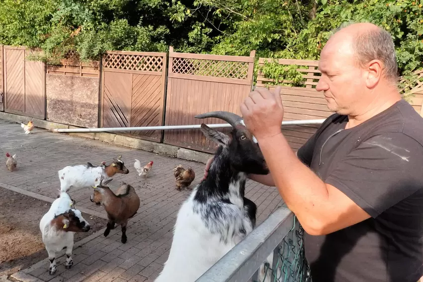 Zutrauliche Ziegen mit Andreas Spieß im Tierpark Donnersberg in Rockenhausen.