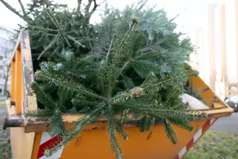 Für ausgediente Weihnachtsbäume gibt es in Neustadt Sammelstellen. 