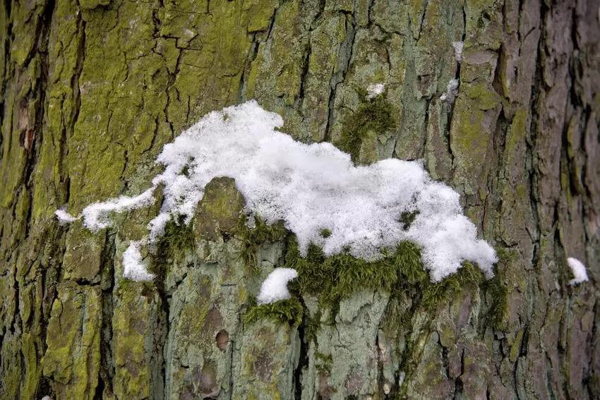 Schnee und Eis, ein Anblick, der sich derzeit fast überall findet.