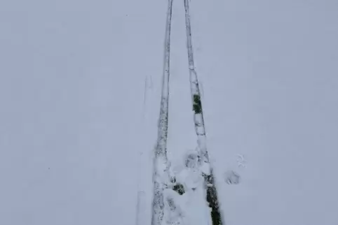 Reicht nicht: Die Schneedecke in Speyer ist zu dünn für Training.