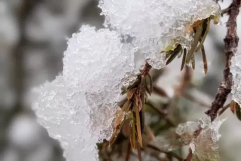 Frost sorgt am Montag nicht nur für glatte Straßen. 