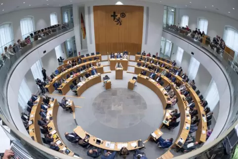 Am 22. März wird in Rheinland-Pfalz ein neuer Landtag gewählt.