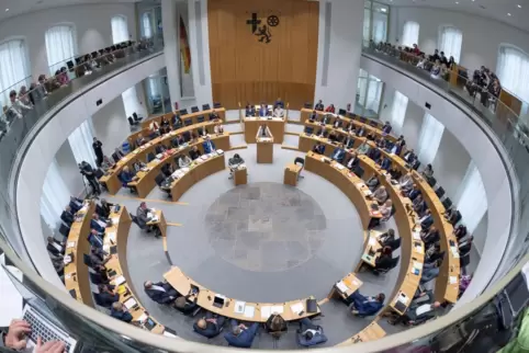 Zwei Direktkandidaten aus Ludwigshafen könnten im März in den Landtag in Mainz einziehen. 