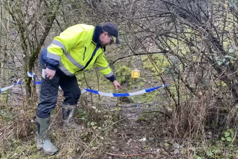 Hier ist er durch den Zaun geschlüpft: Ralf Kalweit zeigt die Stelle, an der das Raubtier – mutmaßlich ein Wolf – ins Damwild-Ga